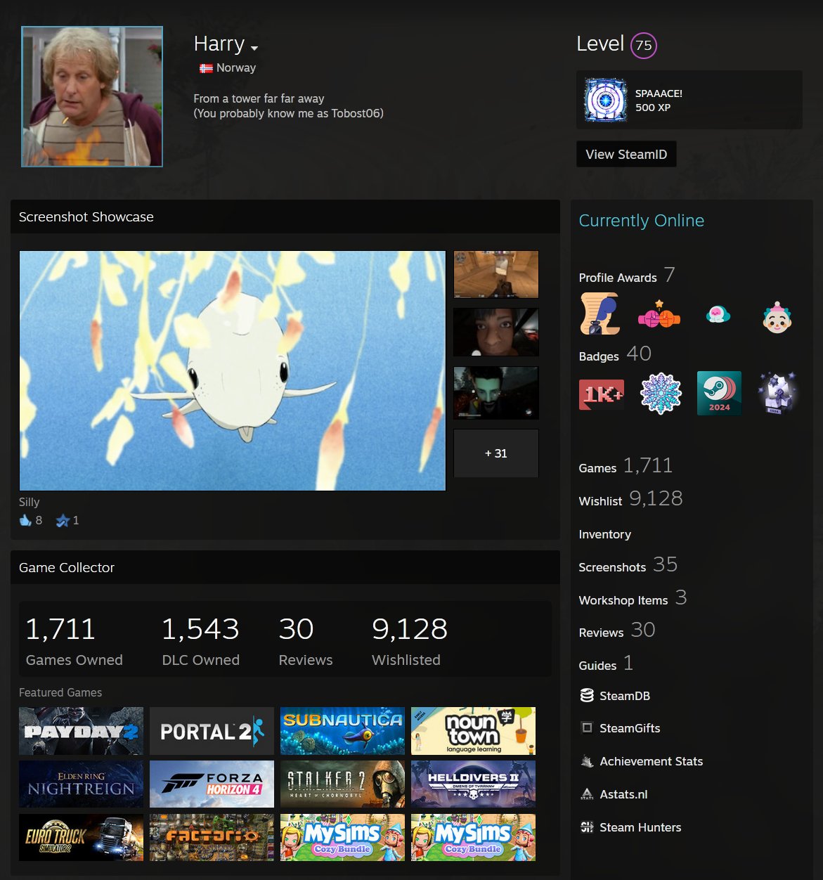 Tobost Steam Profile